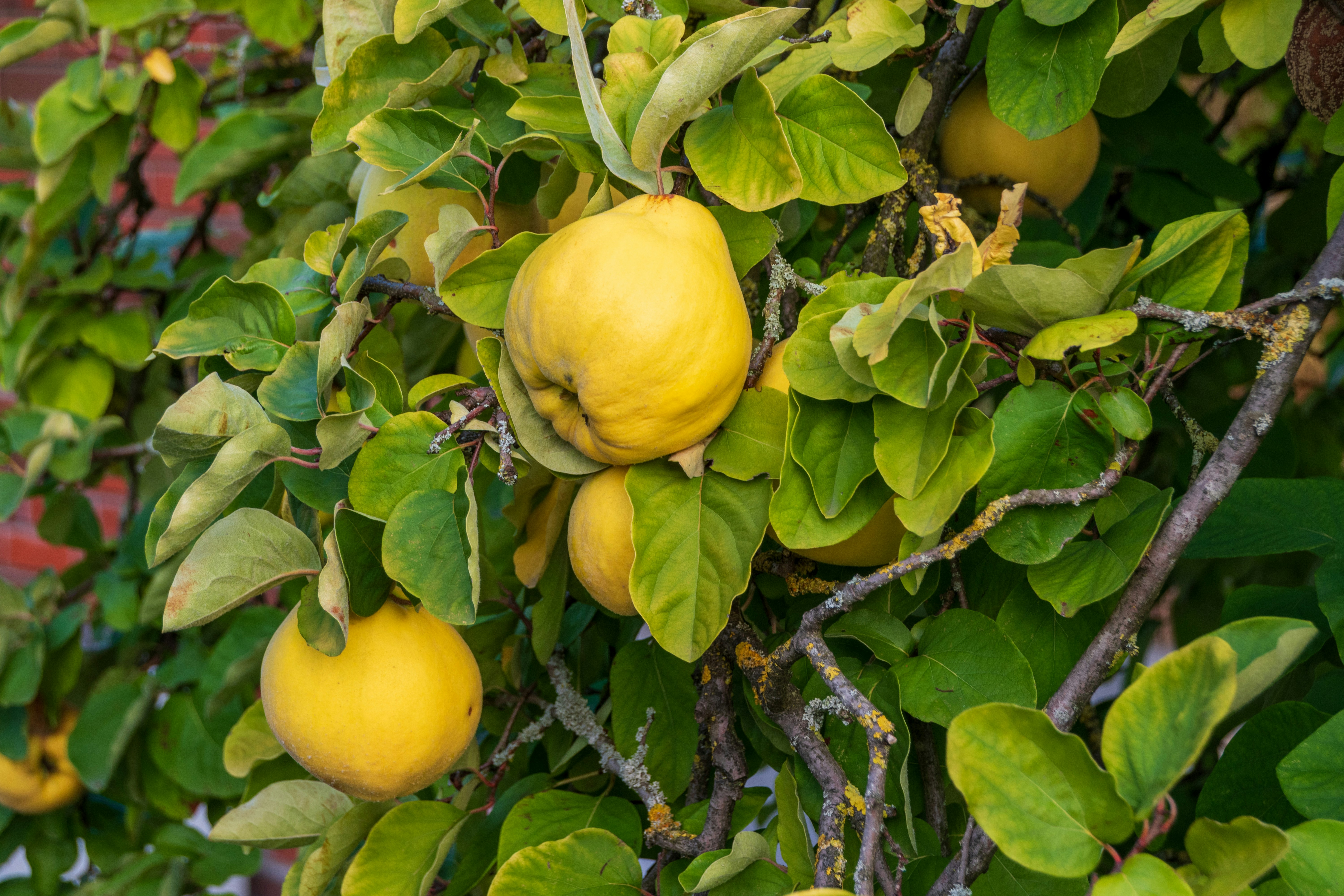 sergej-karpow-1kOQw3QVLZk-unsplash