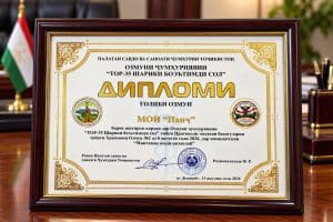 Framed Tajikistan Excellence Diploma 1